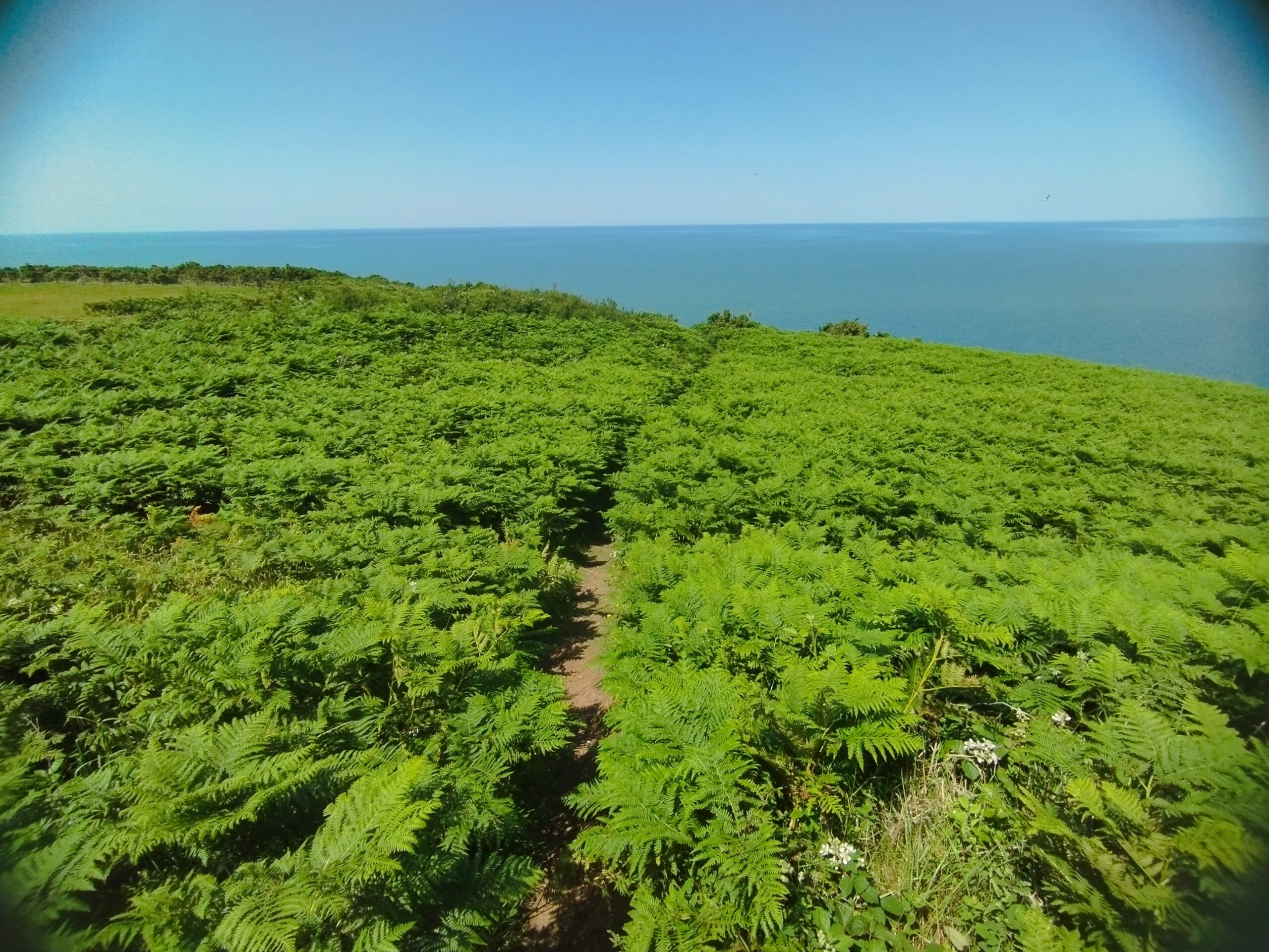 What Nature Can Show Us When We Slow Down