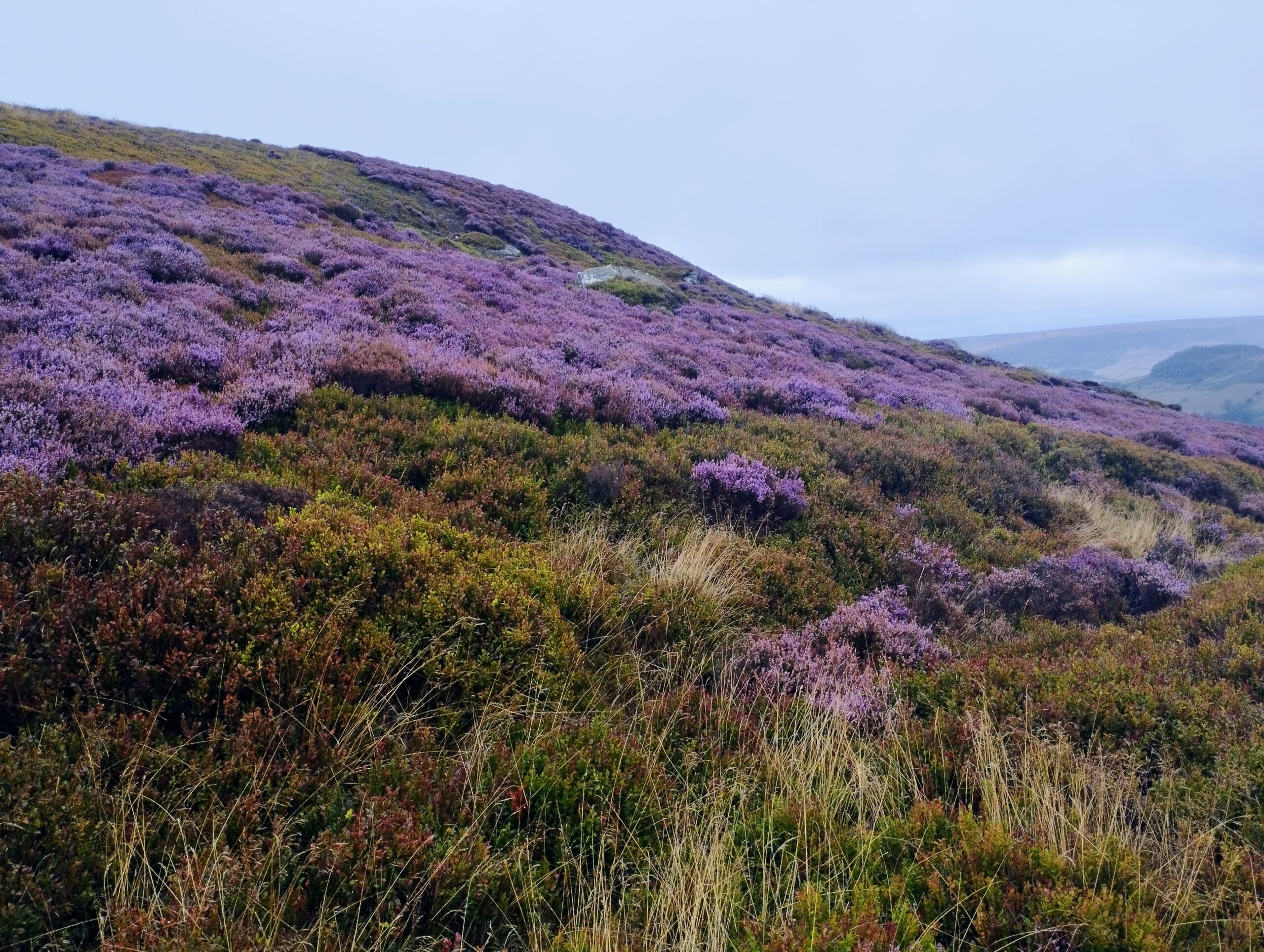 North York Moors National Park
