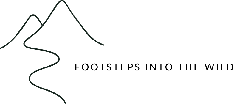 Footsteps into the Wild